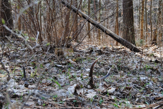 pekný deň a ešťe aj prekvapenie