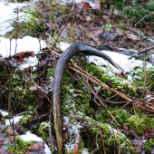 pokoj v duši