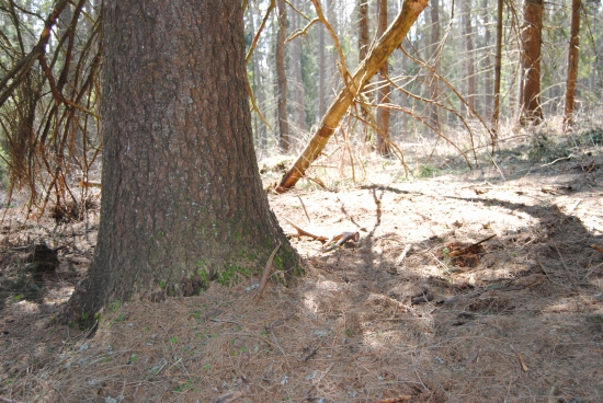 prvý pohľad oproti slnku stal  za to