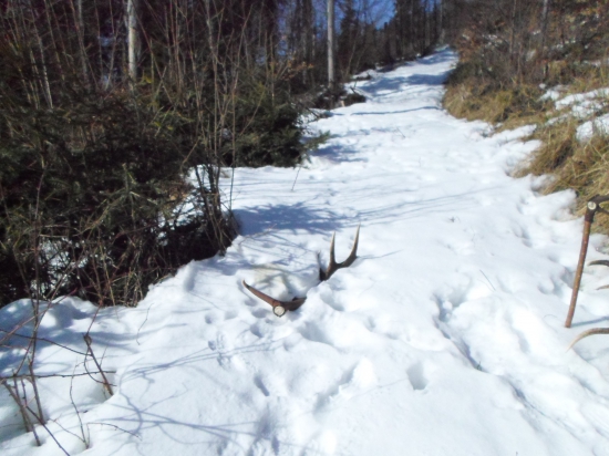 ked nevládzeš ,tak vyjdi na cestu