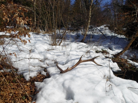 ked ,myseľ zaskočí realita