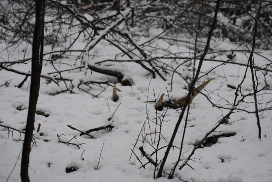 ked ešte nezhadzovali