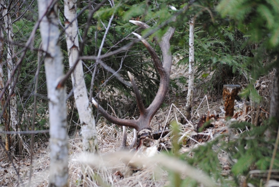 ked srdiečko dostane zabrať