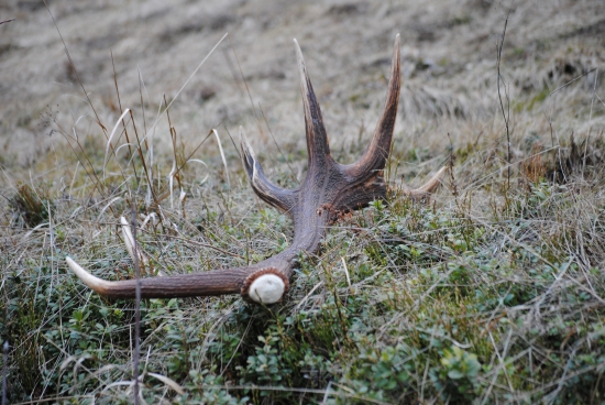 dolina vídava poklady