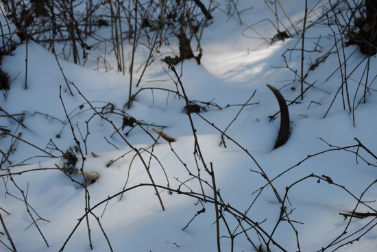 dnešné prekvapenie