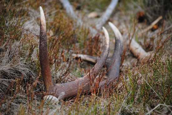 ku večeru,ked slniečko zapada