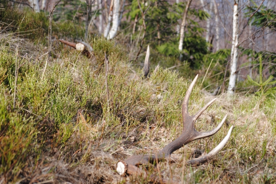 ešte teraz zimomriavky