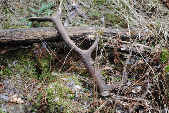 ked perlovanie, ta poriadne