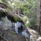 po druhe roky o takom čase tu bolo ešte cez meter snehu