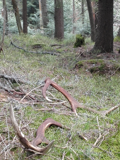 čo bude v pamäti na celí život