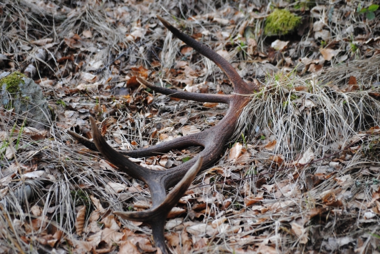 bol to pekný pohľad