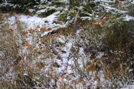 raz sneží,raz slnečno