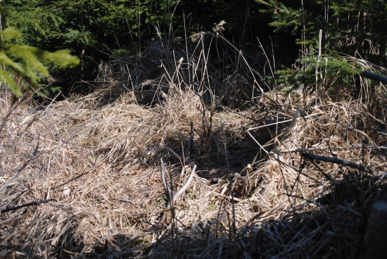 jeden z dneška zažitkov