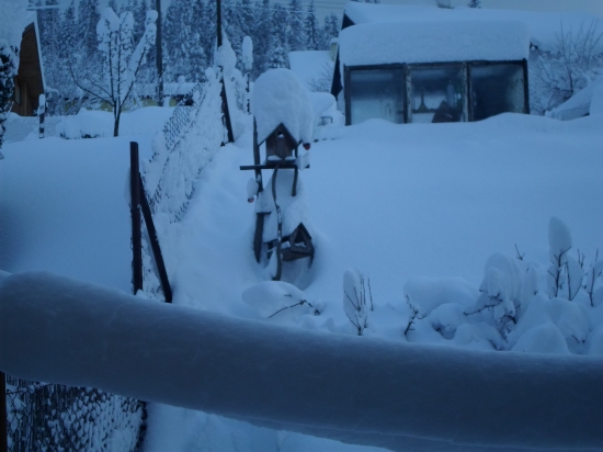 dnešný pohľad z okna