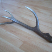 po 5 dňovom trápeni