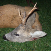 rozlúčka so sezónou 2013