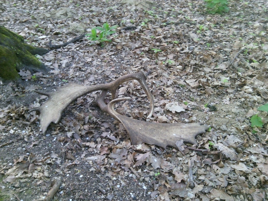 pohľad, ktorý poteší