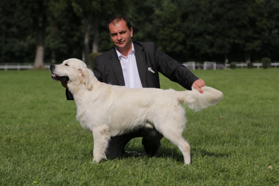 Chester - MVP Bratislava