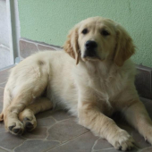 pomaly nám rastie....