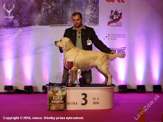 Chester - CAC, CACIB, BOB, BIG3