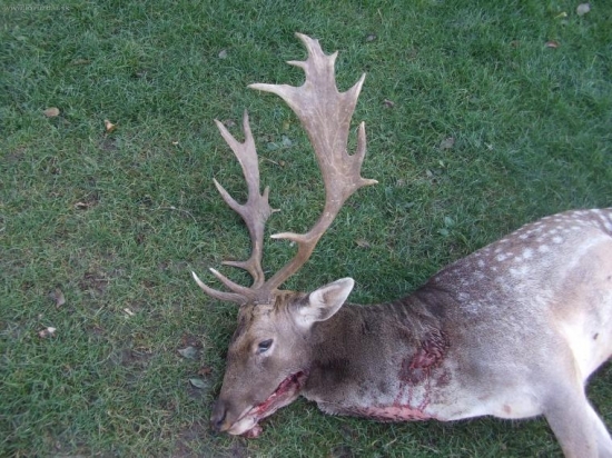 môj včerajší úlovok