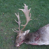 môj včerajší úlovok