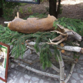 obetný srnec