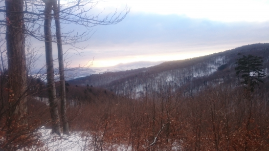 Svitá