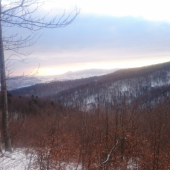 Svitá