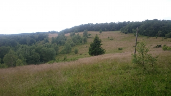 Po hrebeni