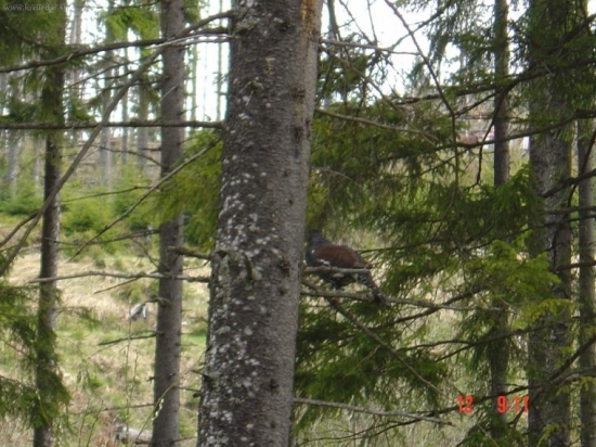 april-uz prichadza jeho cas