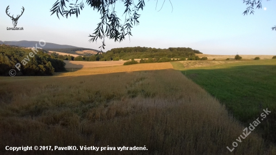 Krásny večer