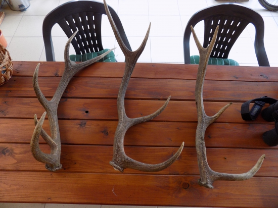 Dnešný úspech-tohtoročné