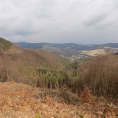 z rúbane