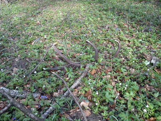 dohľadaná pára k ID 103404 :D