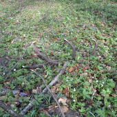 dohľadaná pára k ID 103404 :D