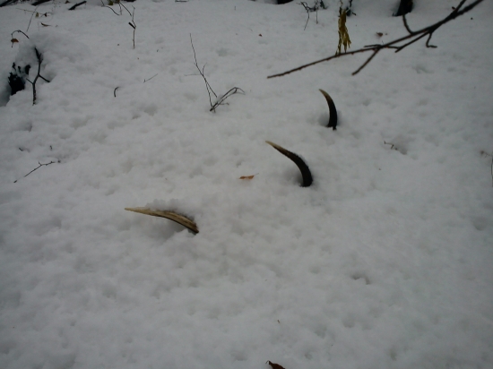 v sobotu na spolocnej.... :))