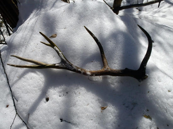 uz je vonku ID:162622