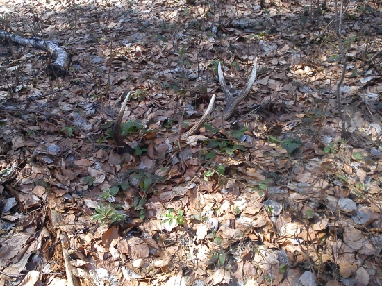 lonský, ale už je môj... :)