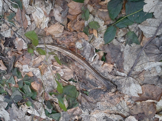 a ide sa štrikovať.... :-)