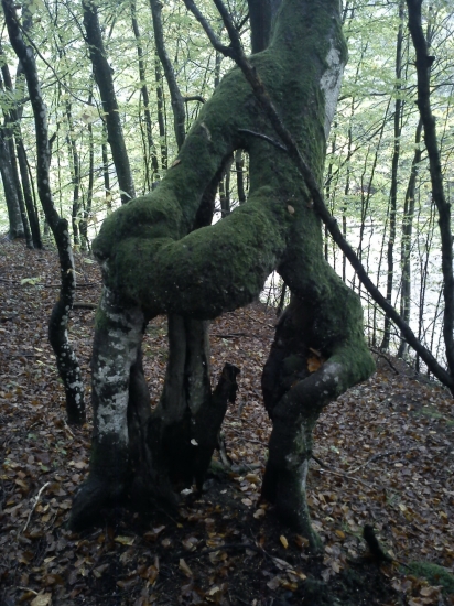 hore ešte zdravý... :)