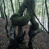 hore ešte zdravý... :)