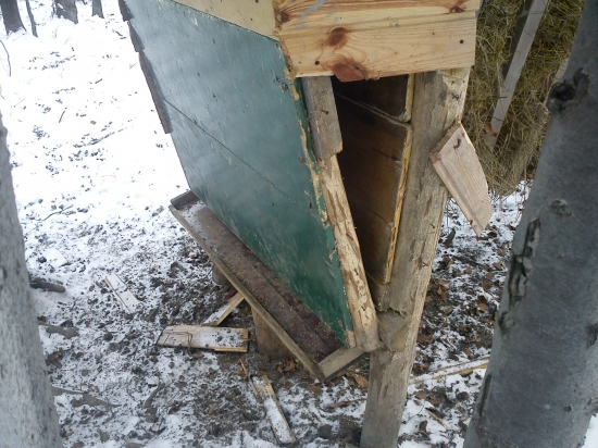 nielen medvede vedia narobiť škodu, ale aj diviaky...