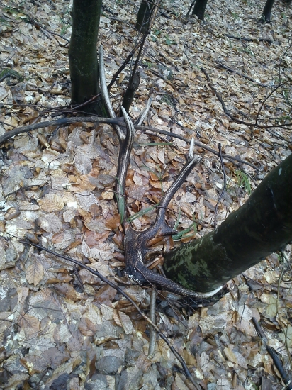 Škaredý (upršaný) pekný den....