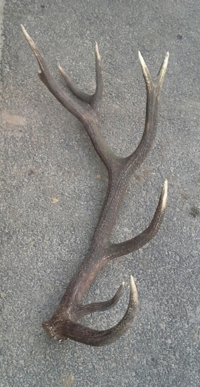 po 4 rokoch sa konečne našiel...