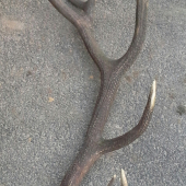 po 4 rokoch sa konečne našiel...