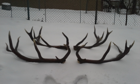 konečne spolu... :)