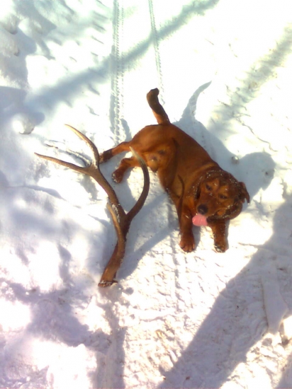 s pred dvoch rokov....