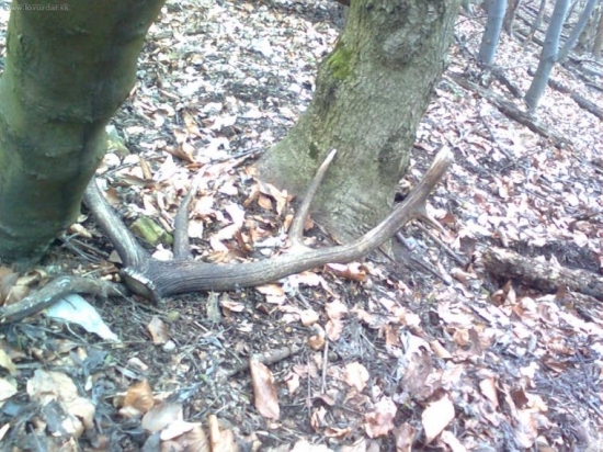 Skoro som nanho stupil...zabudnuty