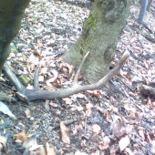 Skoro som nanho stupil...zabudnuty